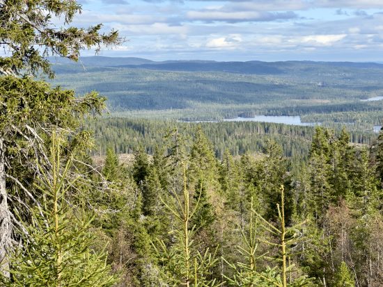 Over dritrenna til Sæterberget