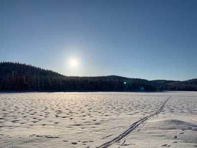 Spålen04.02.21